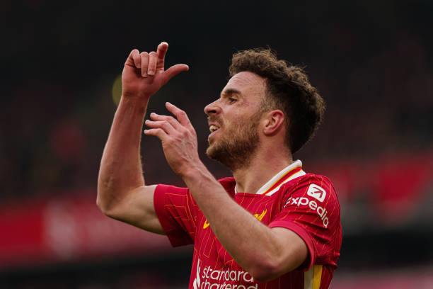 似乎注定了 似乎注定了